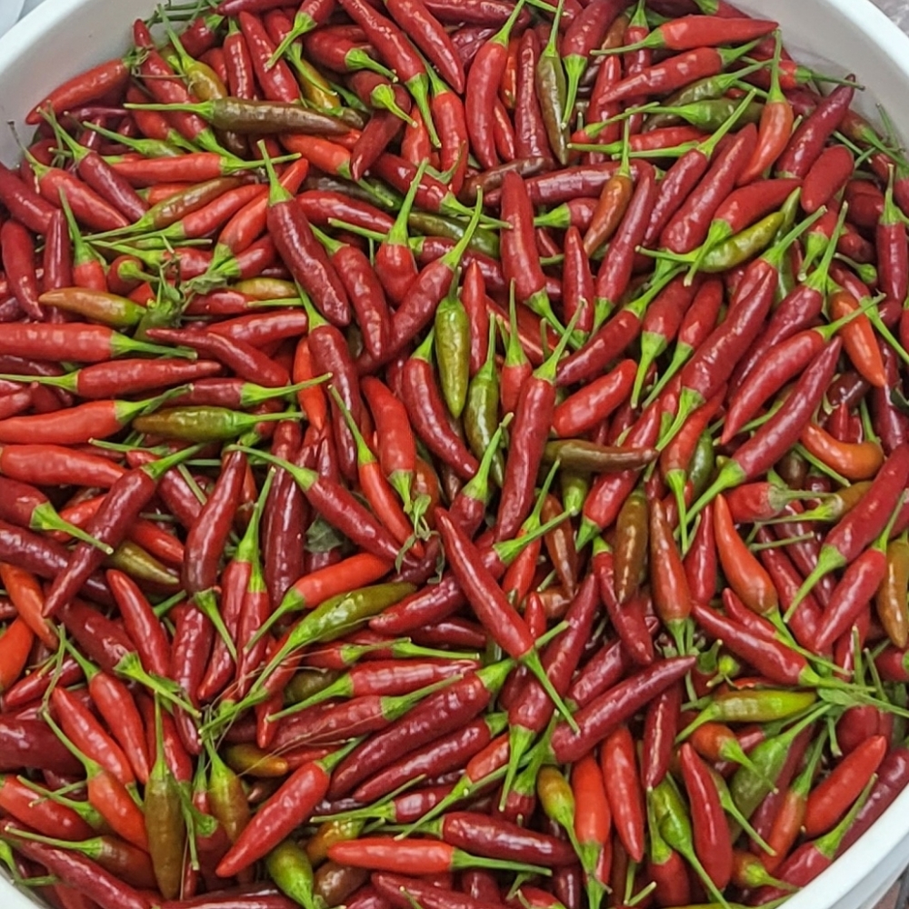 Meet your Posher, Lee